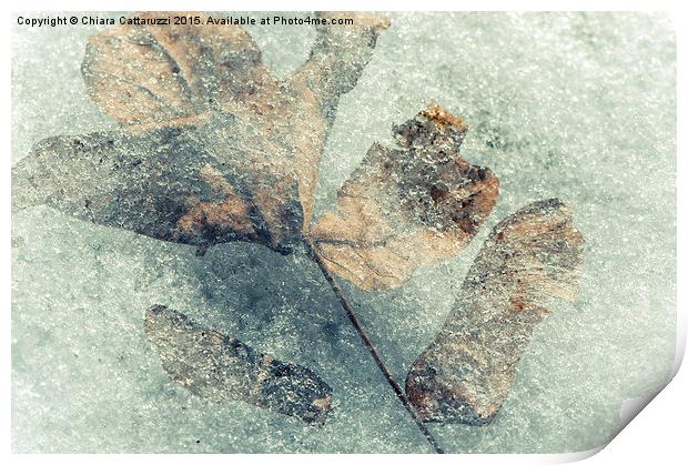 Frozen leaves Print by Chiara Cattaruzzi