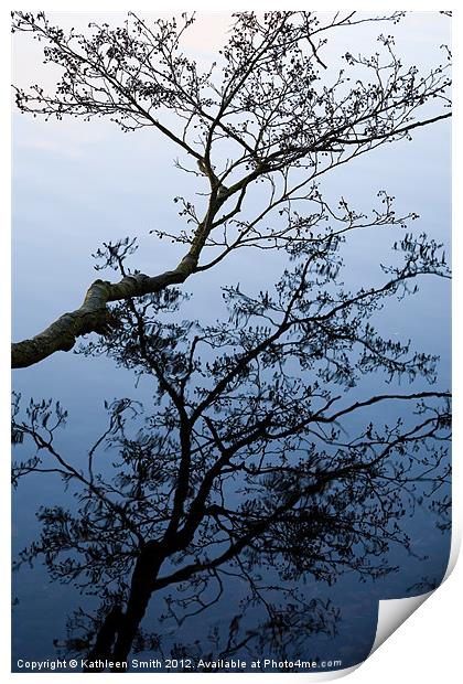 Alder tree reflected in water Print by Kathleen Smith (kbhsphoto)