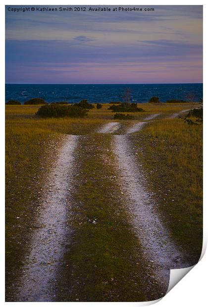 Winding path towards the sea Print by Kathleen Smith (kbhsphoto)
