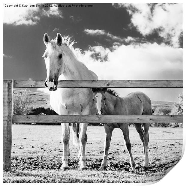 Mare and foal behind fence Print by Kathleen Smith (kbhsphoto)