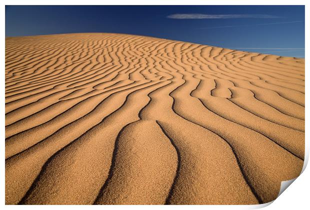 Sand Dune Print by peter schickert