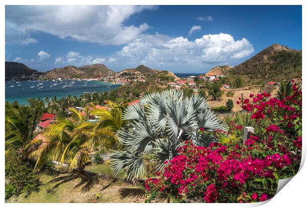 Terre-de-Haut, Les Saintes, Guadeloupe, France Print by peter schickert