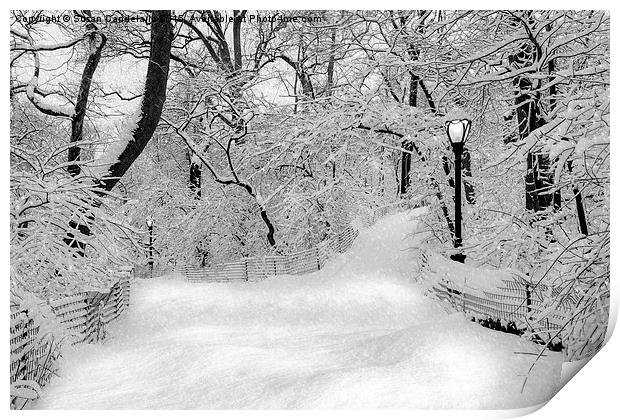 Central Park Dressed Up In White Print by Susan Candelario