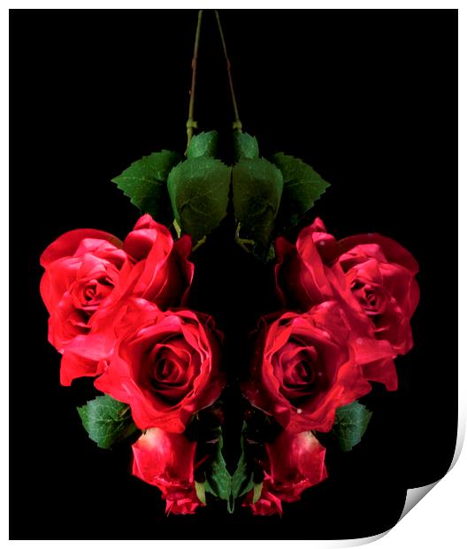 Love of roses  Print by Jonathan Thirkell