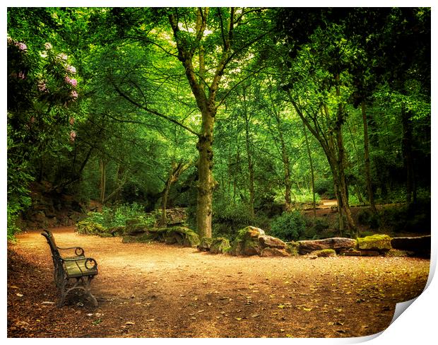 Bench of peace Print by Jonathan Thirkell