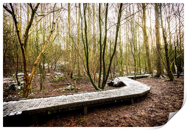 Snow on boardwalk Moses Gate Country Park Bolton Print by Jonathan Thirkell