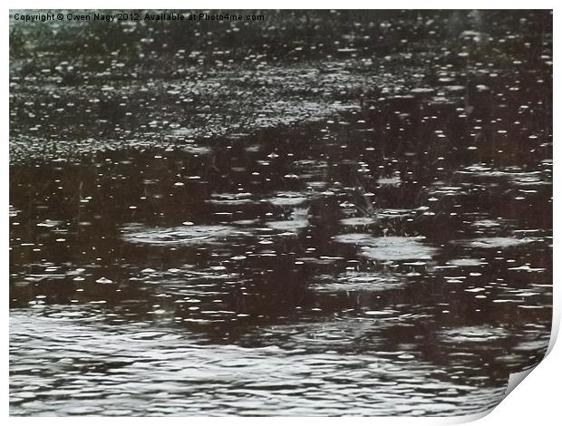 Rain drops Print by Owen Nagy