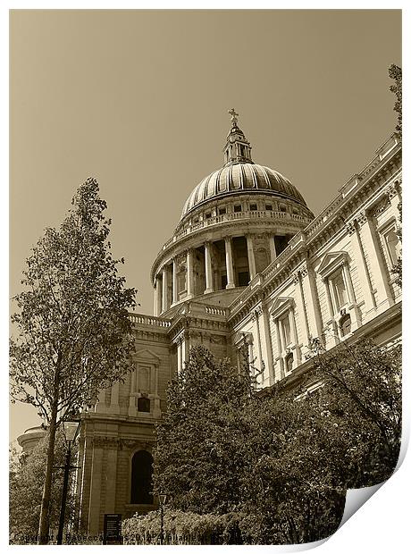 St Pauls Catherdal Print by Rebecca Giles