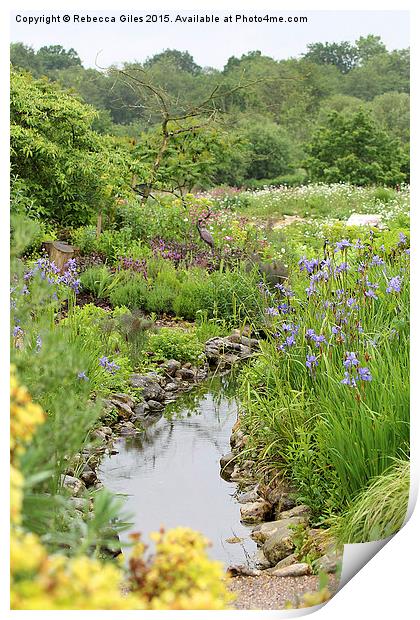  Pond Print by Rebecca Giles