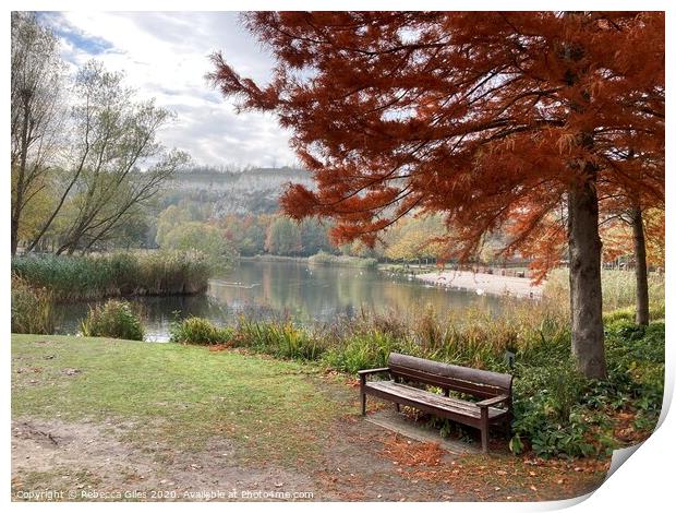 Bench by the lake Print by Rebecca Giles