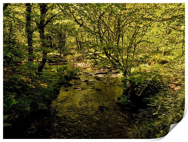 River Meavy, Dartmoor Print by Jay Lethbridge