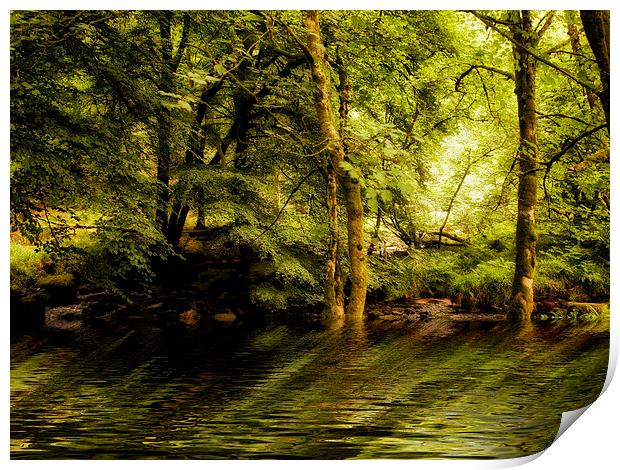 River Dart on Dartmoor National Park Print by Jay Lethbridge