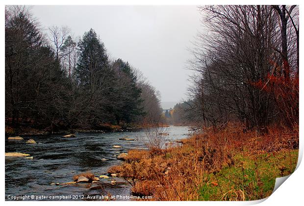 Livingston , NY Creek 2 Print by peter campbell