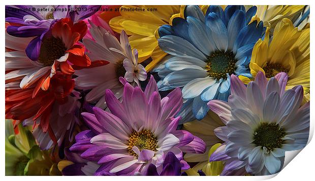 Colorful Flower Print by peter campbell