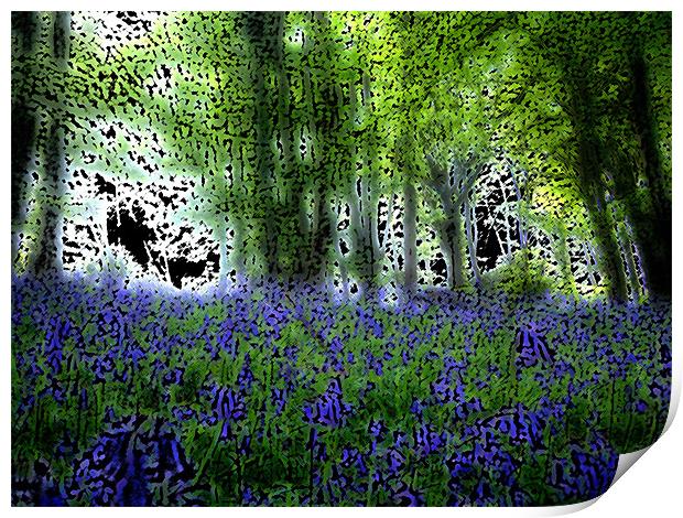 Bluebell Wood Print by Anthony Palmer-Greene