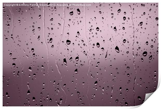 Rain Drops Print by Anthony Palmer-Greene