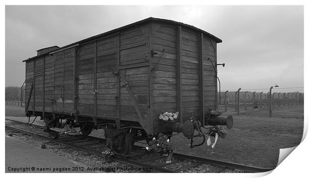 Cattle Car Transportation Print by N C Photography