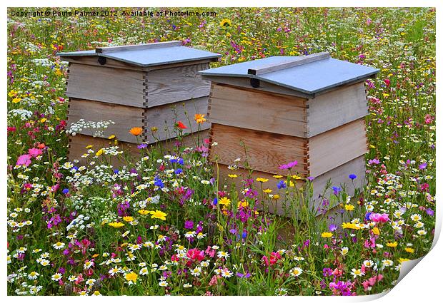 Wild Flower Meadow-Bee Hives Print by Paula Palmer canvas