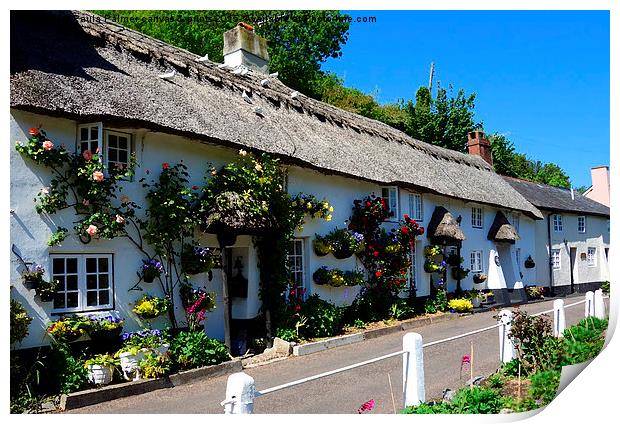  Picturesque thatched cottages Print by Paula Palmer canvas