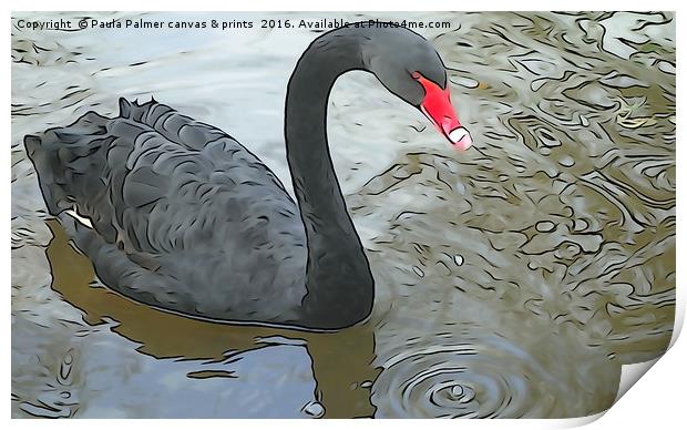Black Swan at Dawlish Print by Paula Palmer canvas