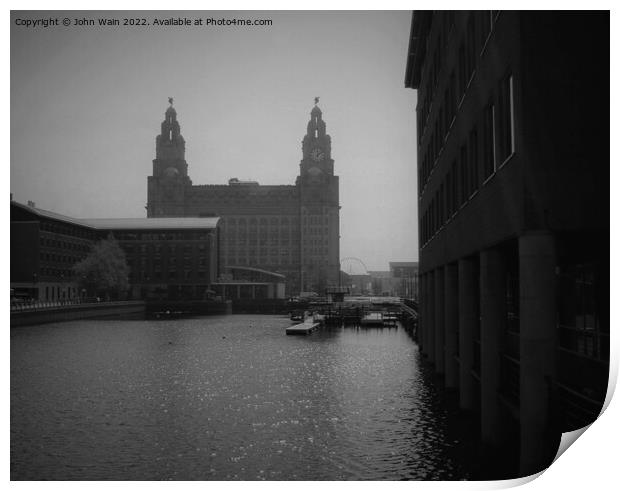 Liver Building Print by John Wain