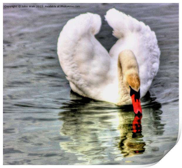 Reflections Print by John Wain