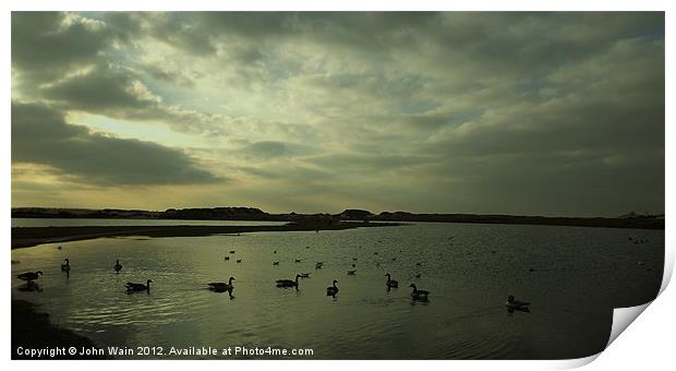 Geese on the lake Print by John Wain