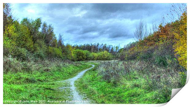 A Gentle Walk Print by John Wain