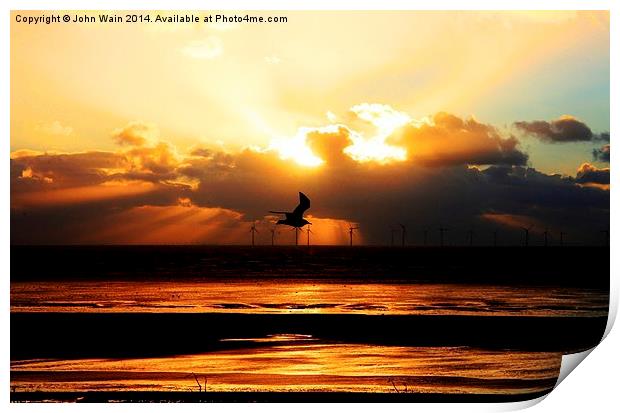 Evening Glory Print by John Wain