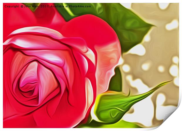 Red Rose (Digital Art) Print by John Wain