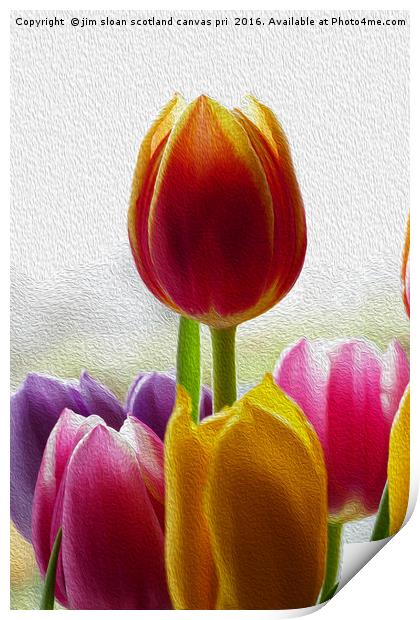 Painted Flower Print by jim scotland fine art