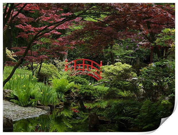 Japanese garden Print by Chris  Breeze