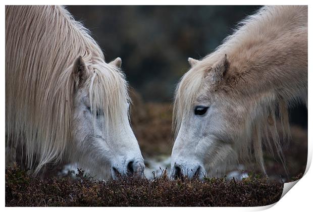 horse love Print by gemma williams