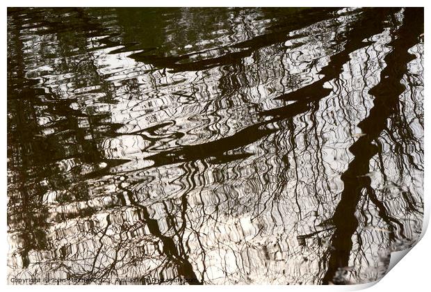Reflections in a Pond Print by John Mitchell