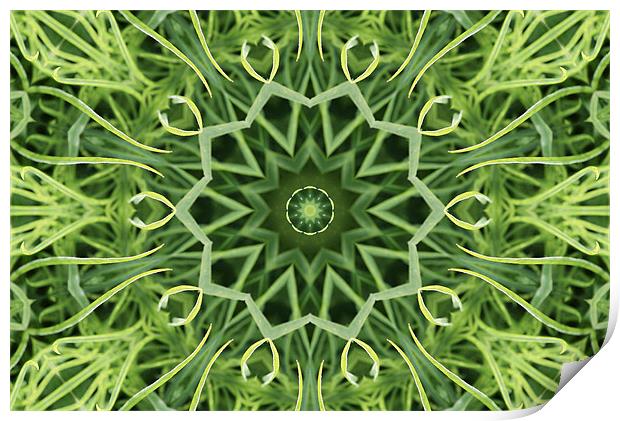 Green pattern Print by Ruth Hallam