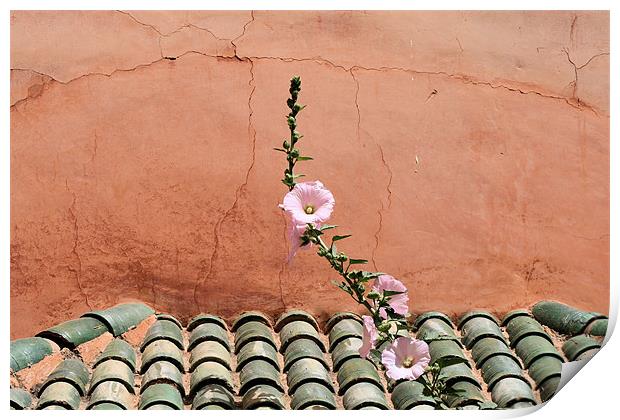 Moroccan tile roof Print by Ruth Hallam