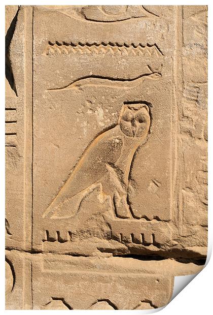 Karnak Temple 48 Print by Ruth Hallam