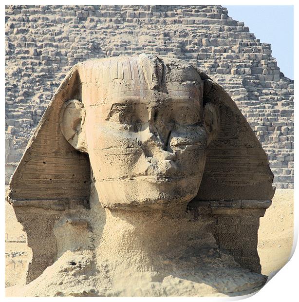 Great Sphinx of Giza 7 Print by Ruth Hallam