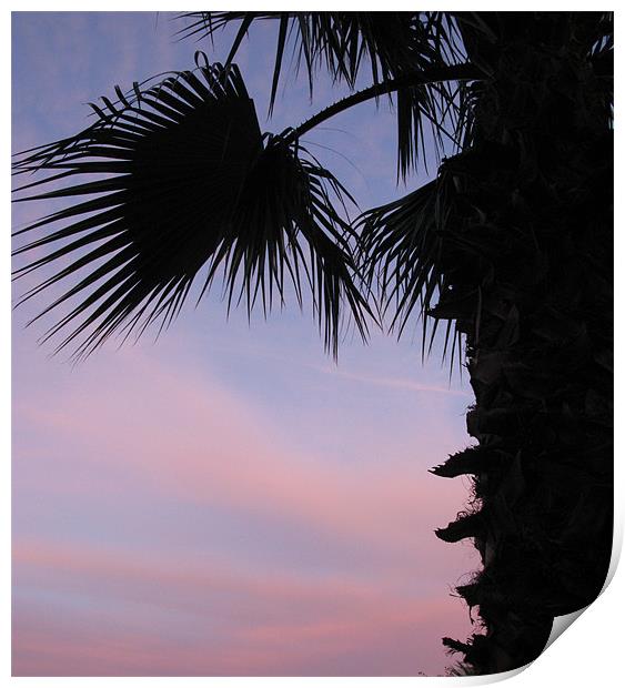 Sunset and palm tree Print by Ruth Hallam