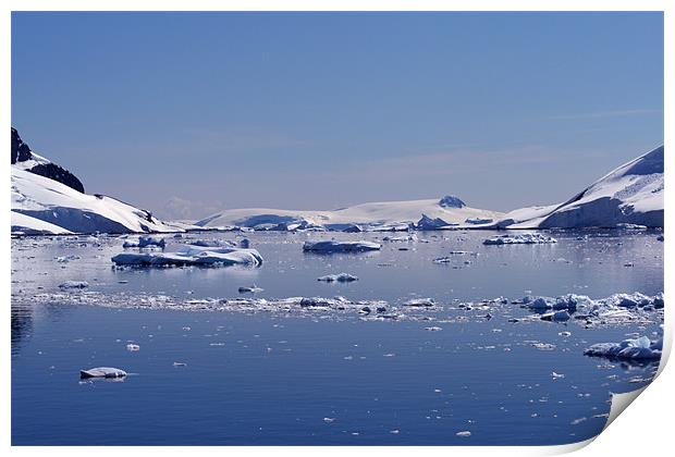 Icebergs in Antarctica Print by Ruth Hallam