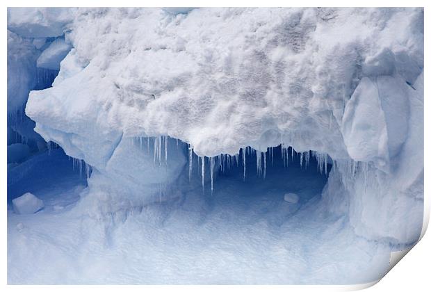 Ice crystals Print by Ruth Hallam
