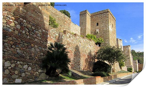 malaga castle Print by dale rys (LP)