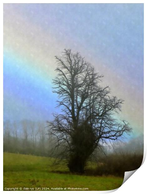 TREE IN THE RAIN Print by dale rys (LP)