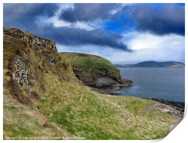 ON THE ISLE OF STAFFA Print by dale rys (LP)