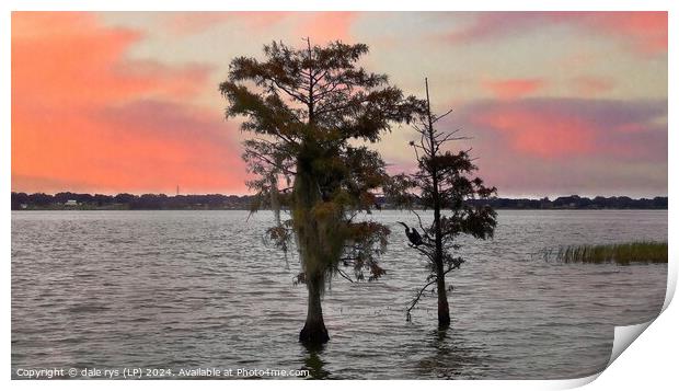 FLORIDA SUNSET  Print by dale rys (LP)