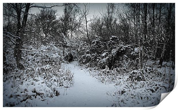 winter wonderland Print by dale rys (LP)