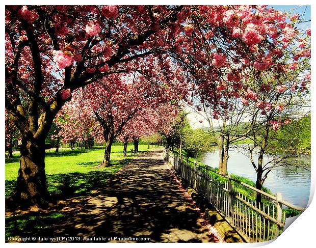 along the river forth-stirling Print by dale rys (LP)