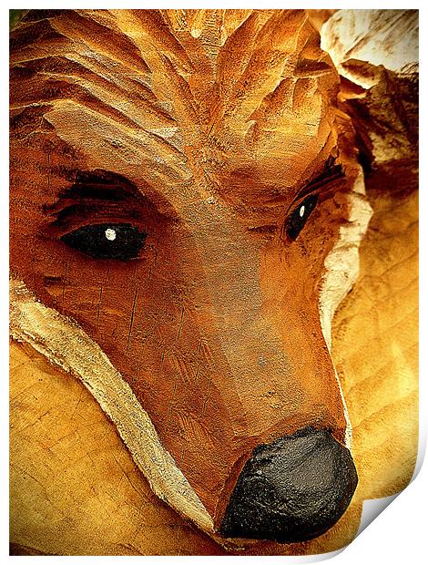 foxs break Print by dale rys (LP)
