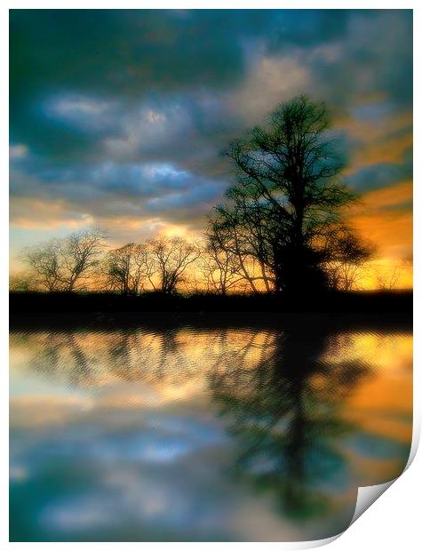 moody reflection Print by dale rys (LP)