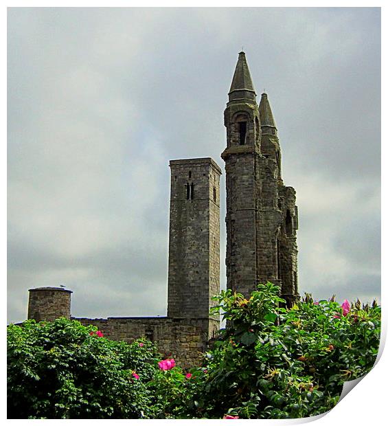  st andrews cathedral Print by dale rys (LP)